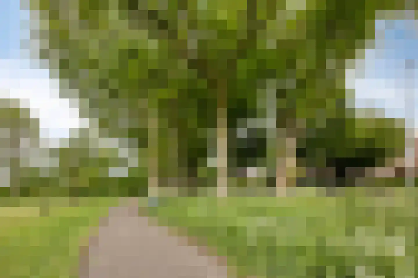 Lorentzdreef 14 Maassluis thumbnail 33