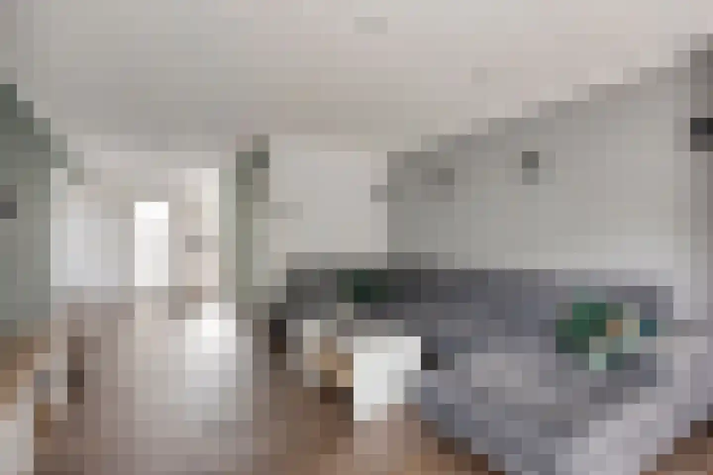 Lorentzdreef 14 Maassluis thumbnail 7