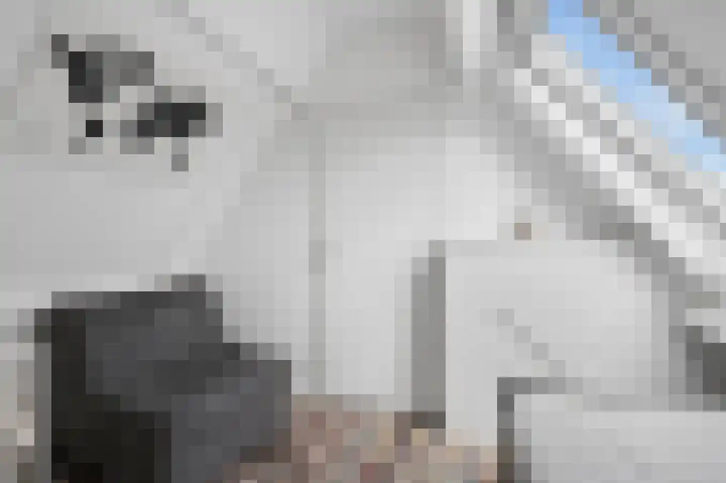 Lorentzhof 19 Nijkerk thumbnail 31