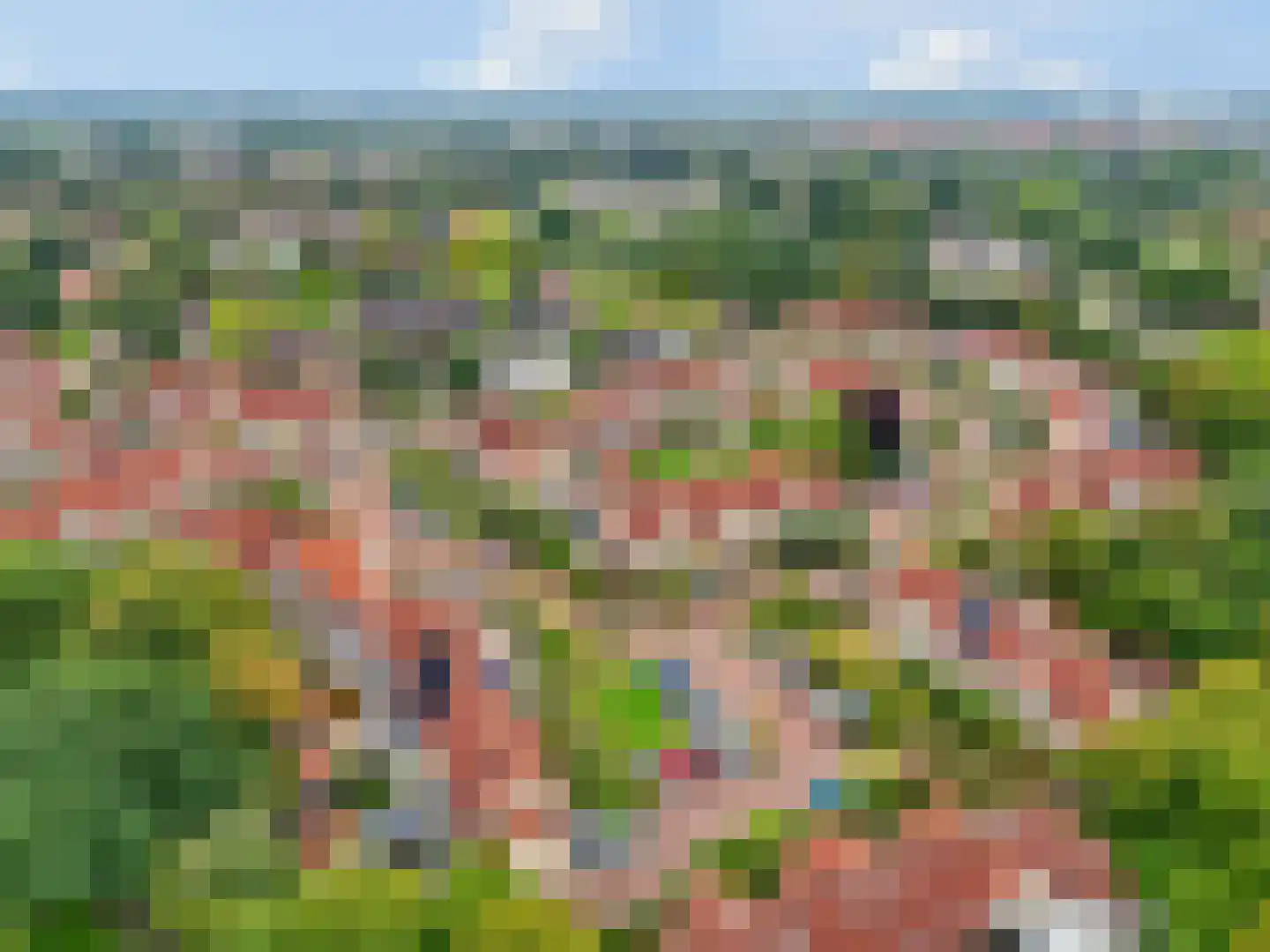Lorentzhof 19 Nijkerk thumbnail 47