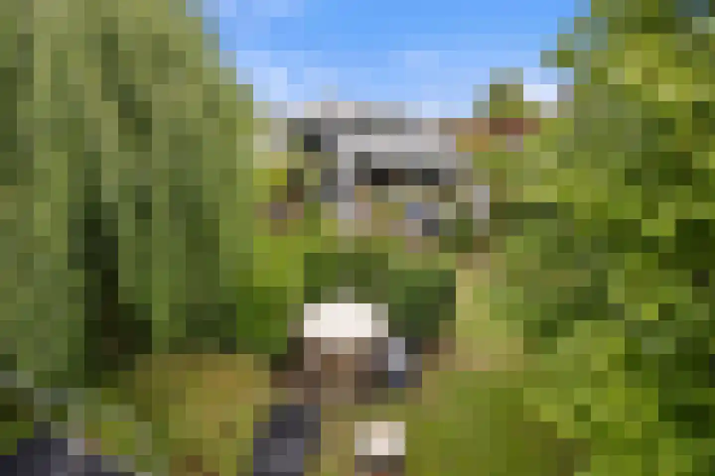 Lorentzhof 2 Boxtel thumbnail 44