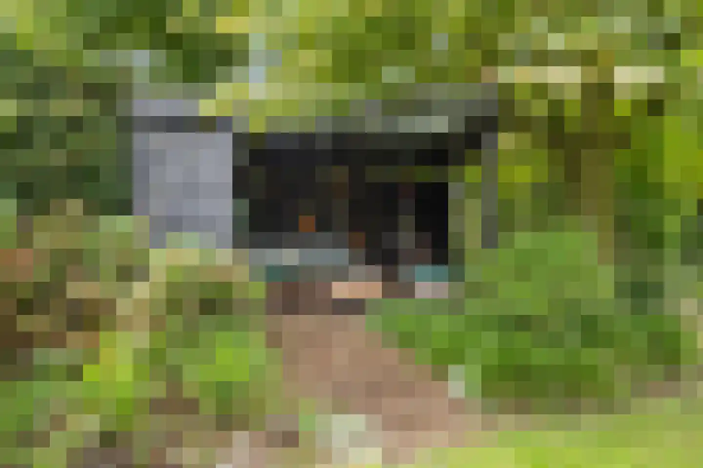 Lorentzhof 2 Boxtel thumbnail 50
