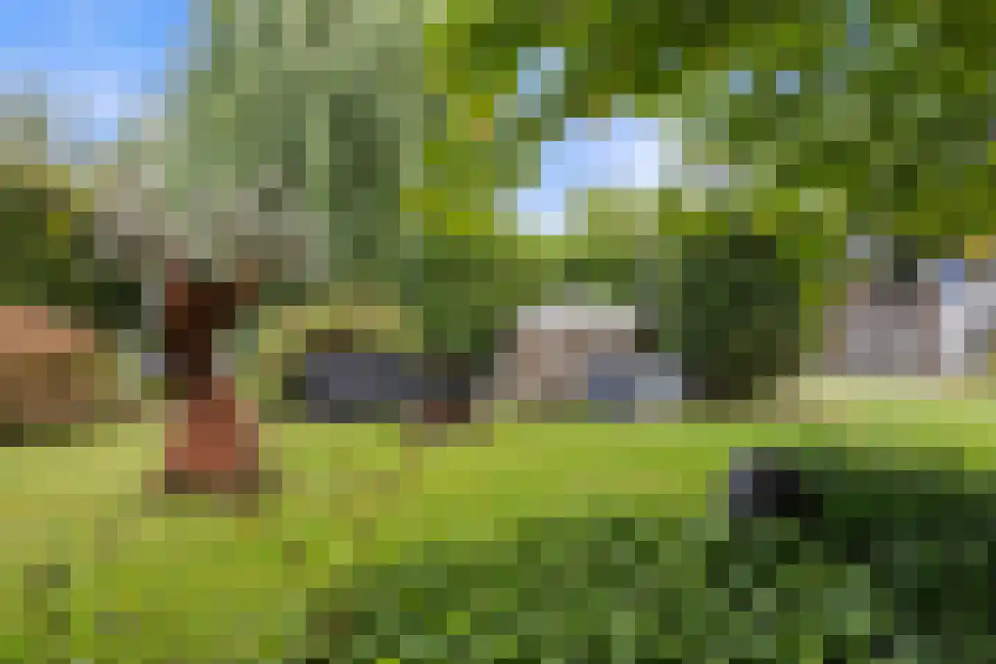 Lorentzhof 2 Boxtel thumbnail 53