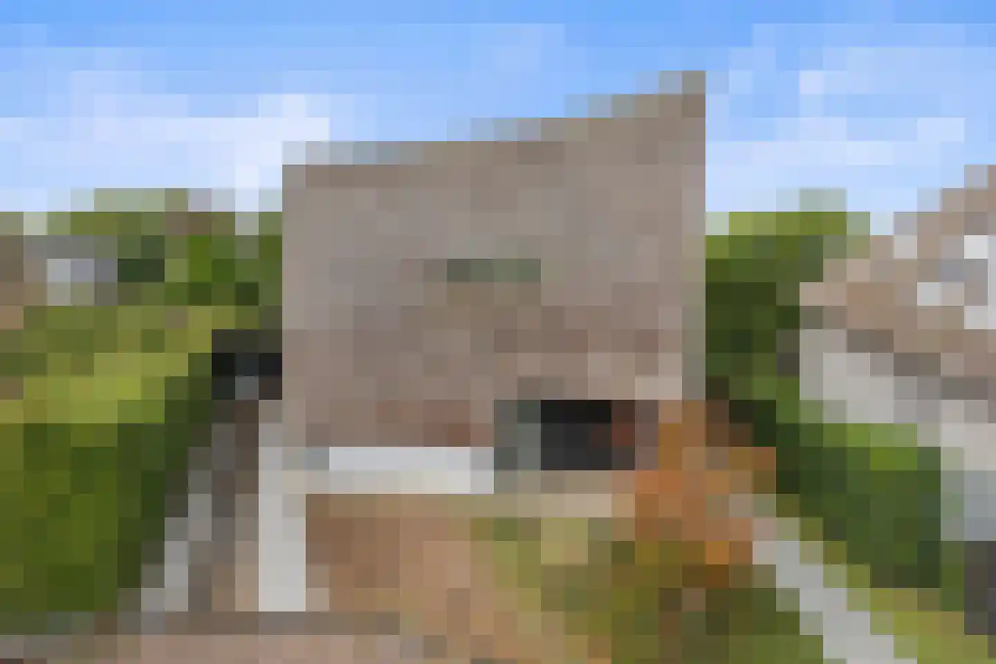 Lorentzhof 2 Boxtel thumbnail 58