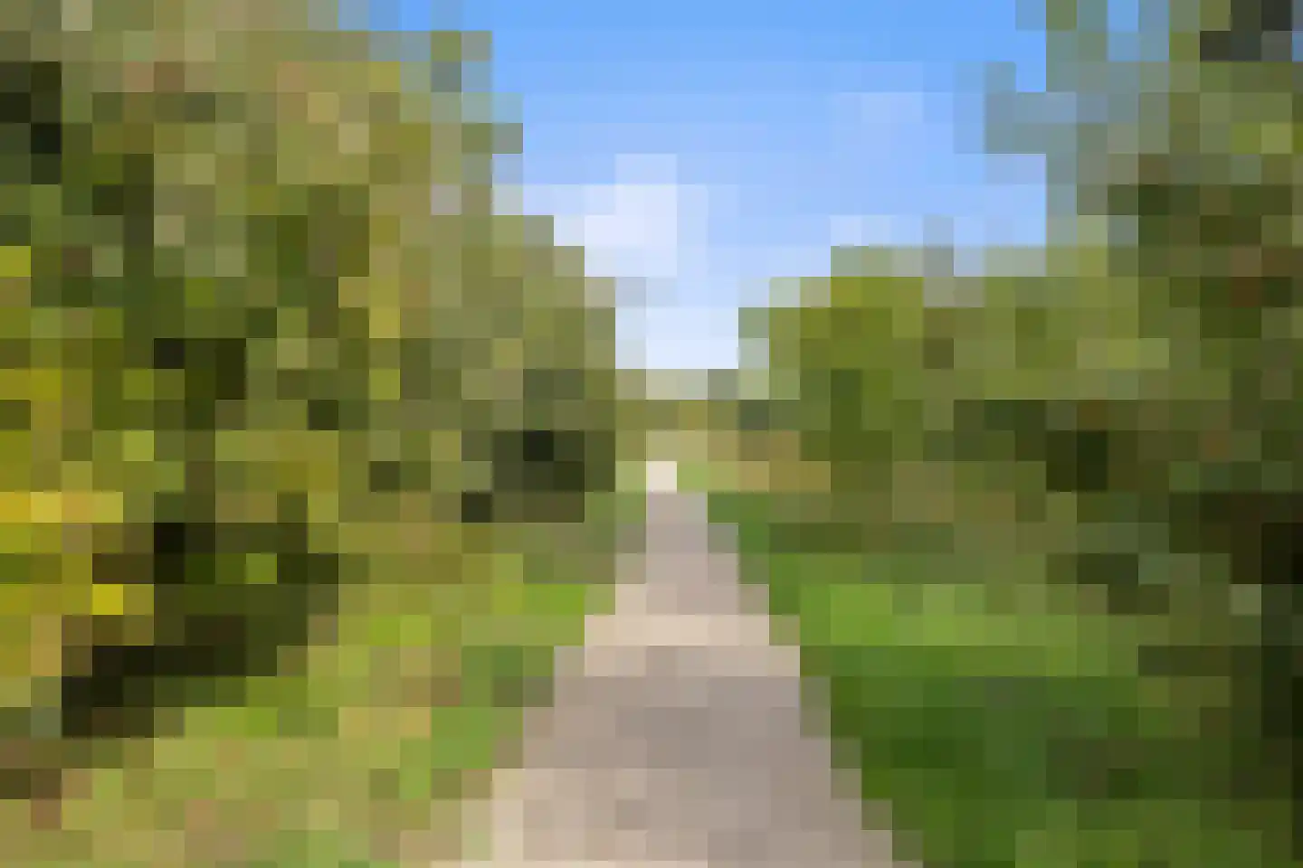Lorentzhof 2 Boxtel thumbnail 64