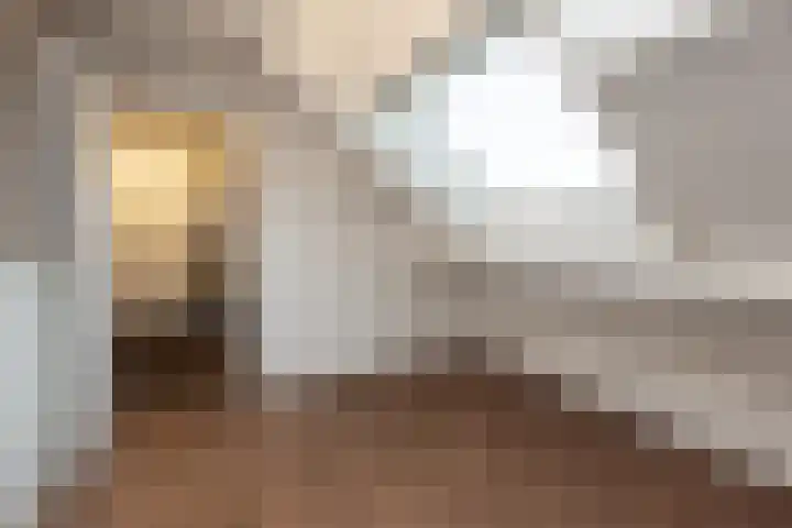 Lorentzhof 39 Kudelstaart thumbnail 17