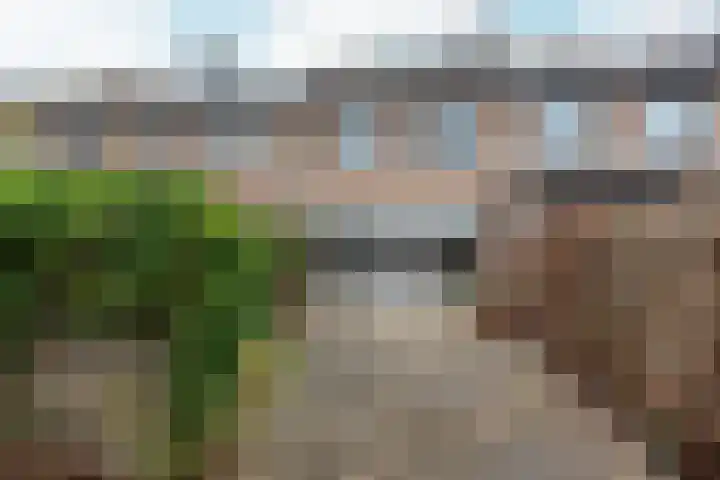 Lorentzhof 39 Kudelstaart thumbnail 4