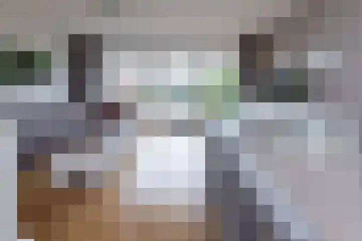 Lorentzhof 39 Kudelstaart thumbnail 6