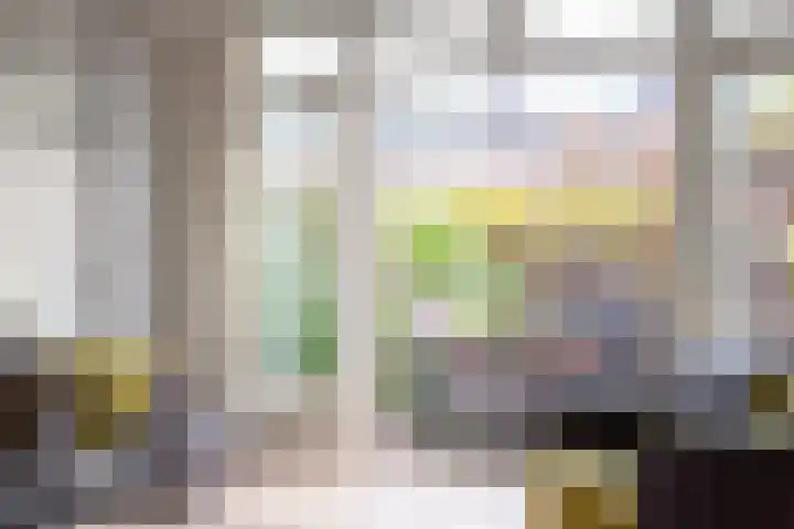 Lorentzkade 206 Haarlem thumbnail 17