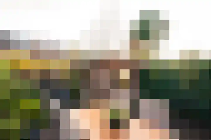 Lorentzkade 206 Haarlem thumbnail 20
