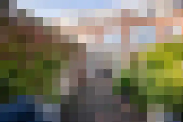 Lorentzkade 206 Haarlem thumbnail 22