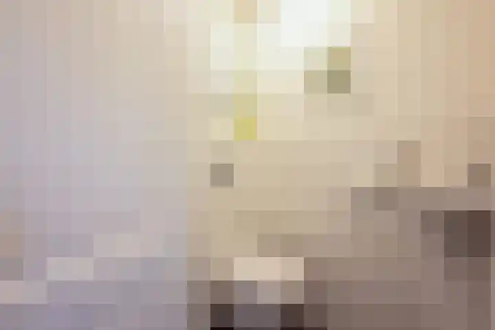 Lorentzkade 206 Haarlem thumbnail 30