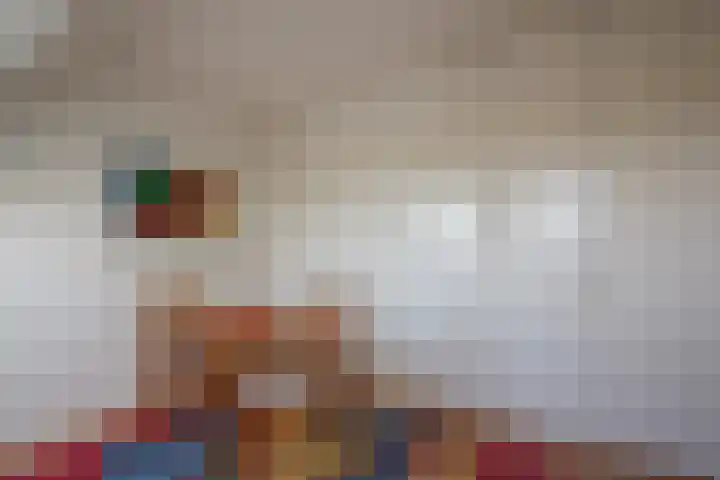 Lorentzkade 206 Haarlem thumbnail 50