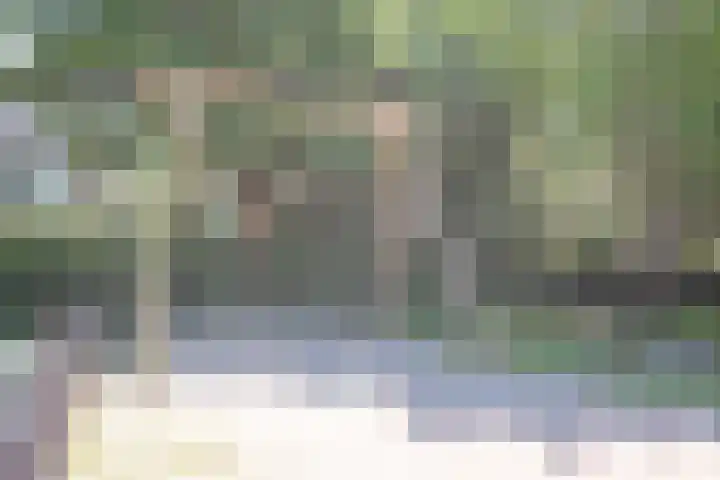 Lorentzkade 206 Haarlem thumbnail 58