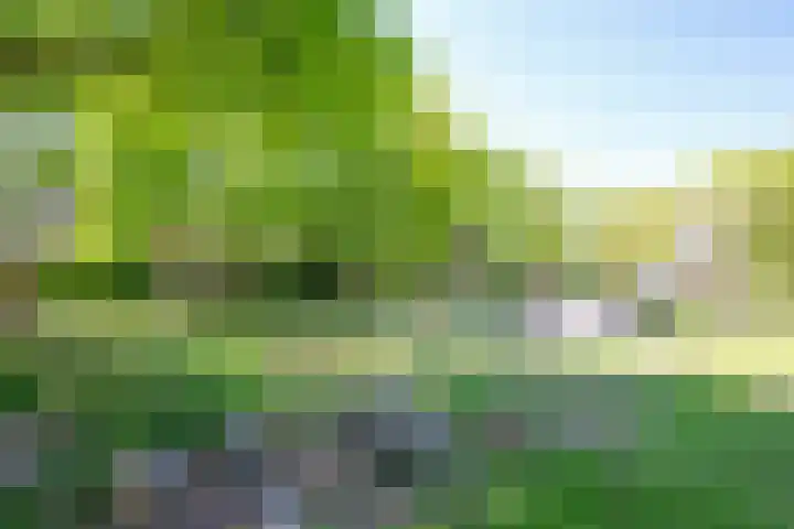 Lorentzkade 206 Haarlem thumbnail 60