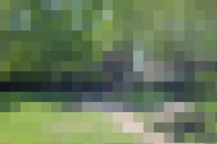 Lorentzkade 206 Haarlem thumbnail 61