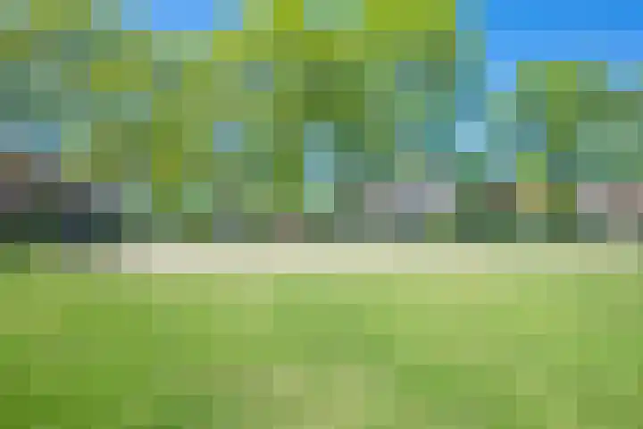 Lorentzkade 206 Haarlem thumbnail 62