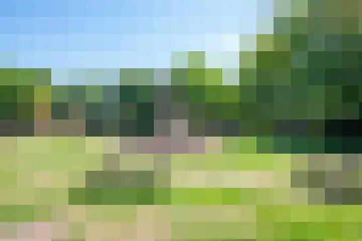 Lorentzkade 206 Haarlem thumbnail 63