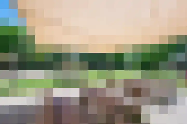Lorentzkade 206 Haarlem thumbnail 64