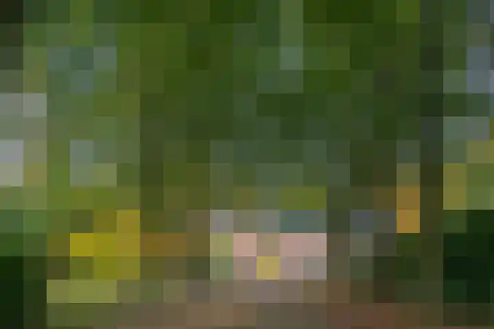 Lorentzkade 206 Haarlem thumbnail 66