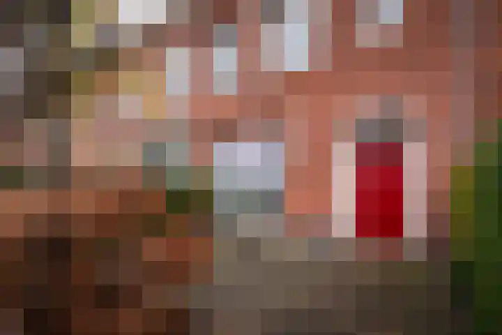 Lorentzkade 206 Haarlem thumbnail 9