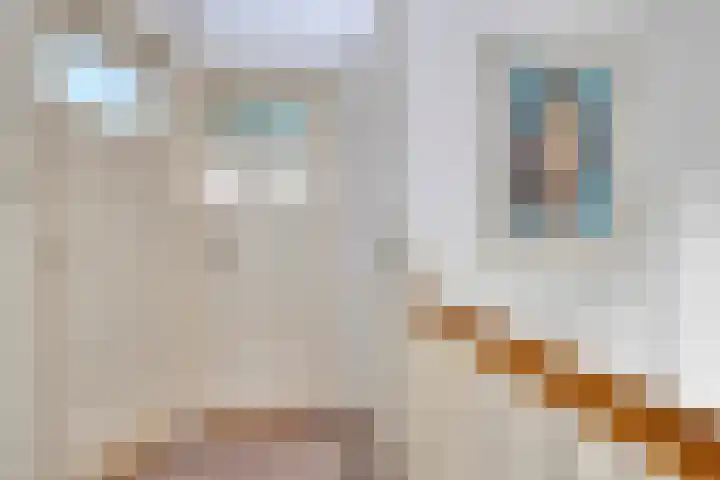 Lorentzkade 21 Leiden thumbnail 24