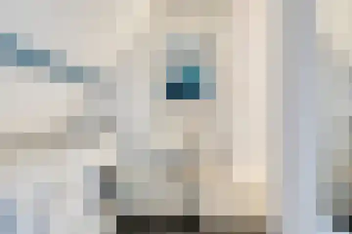 Lorentzkade 21 Leiden thumbnail 31