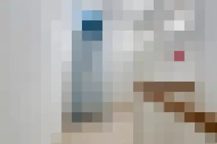 Lorentzkade 21 Leiden thumbnail 35