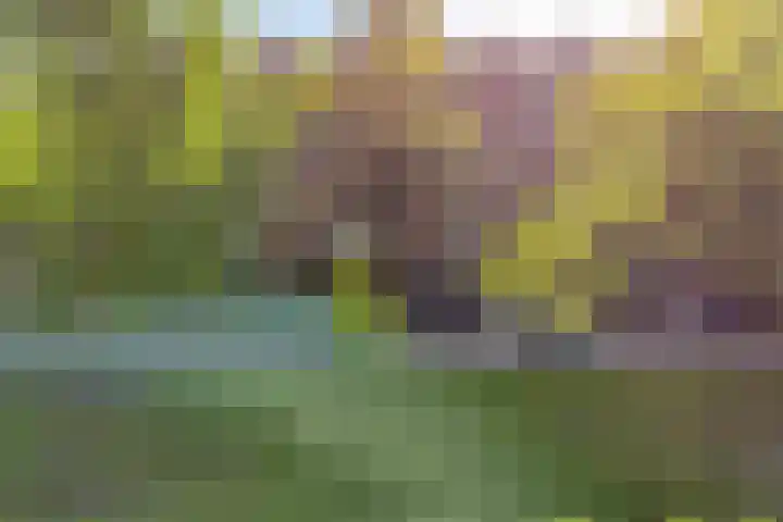 Lorentzkade 21 Leiden thumbnail 42