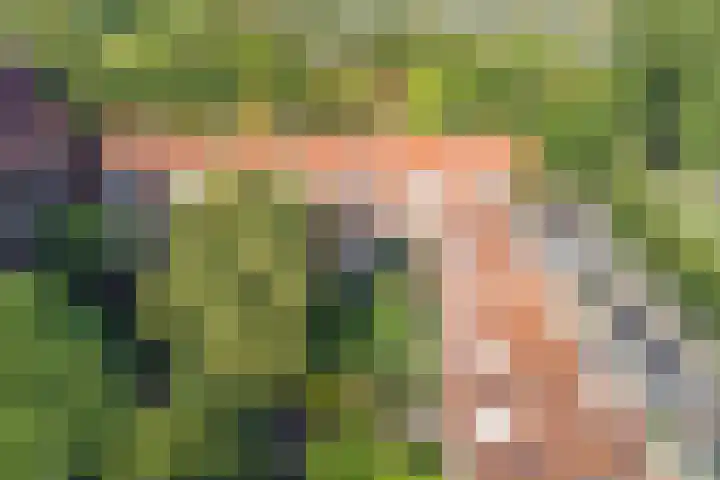 Lorentzkade 21 Leiden thumbnail 43