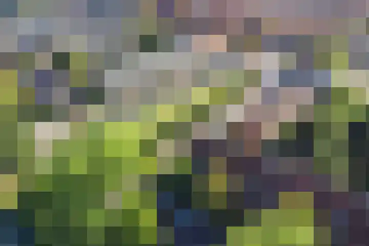 Lorentzkade 21 Leiden thumbnail 44