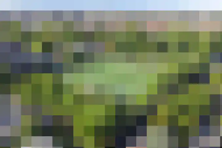 Lorentzkade 21 Leiden thumbnail 47