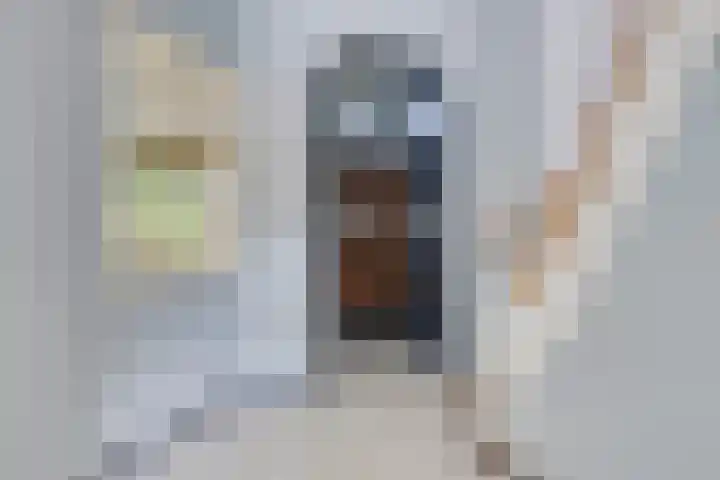 Lorentzkade 21 Leiden thumbnail 6