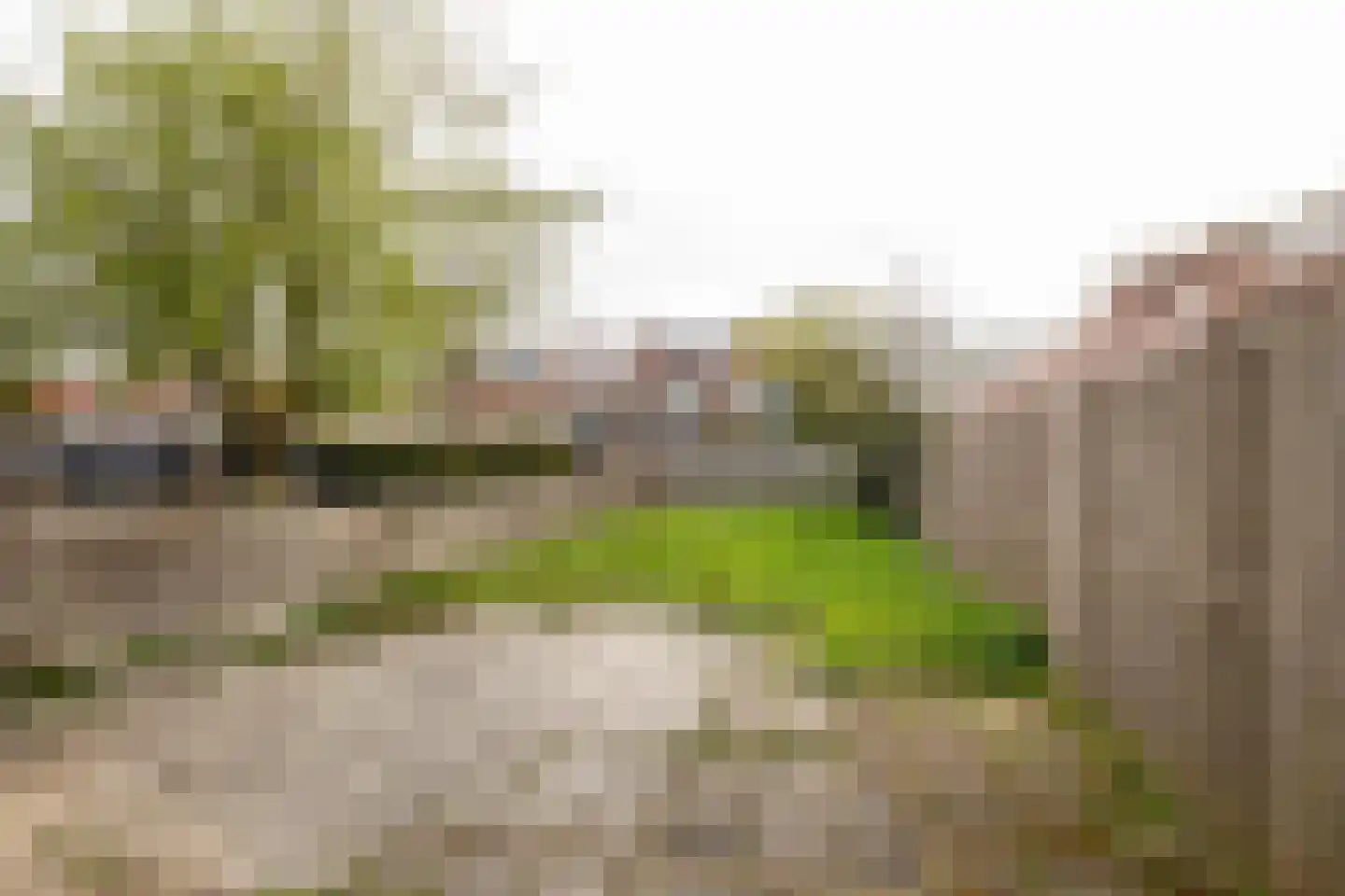 Lorentzkade 22 Haarlem thumbnail 11
