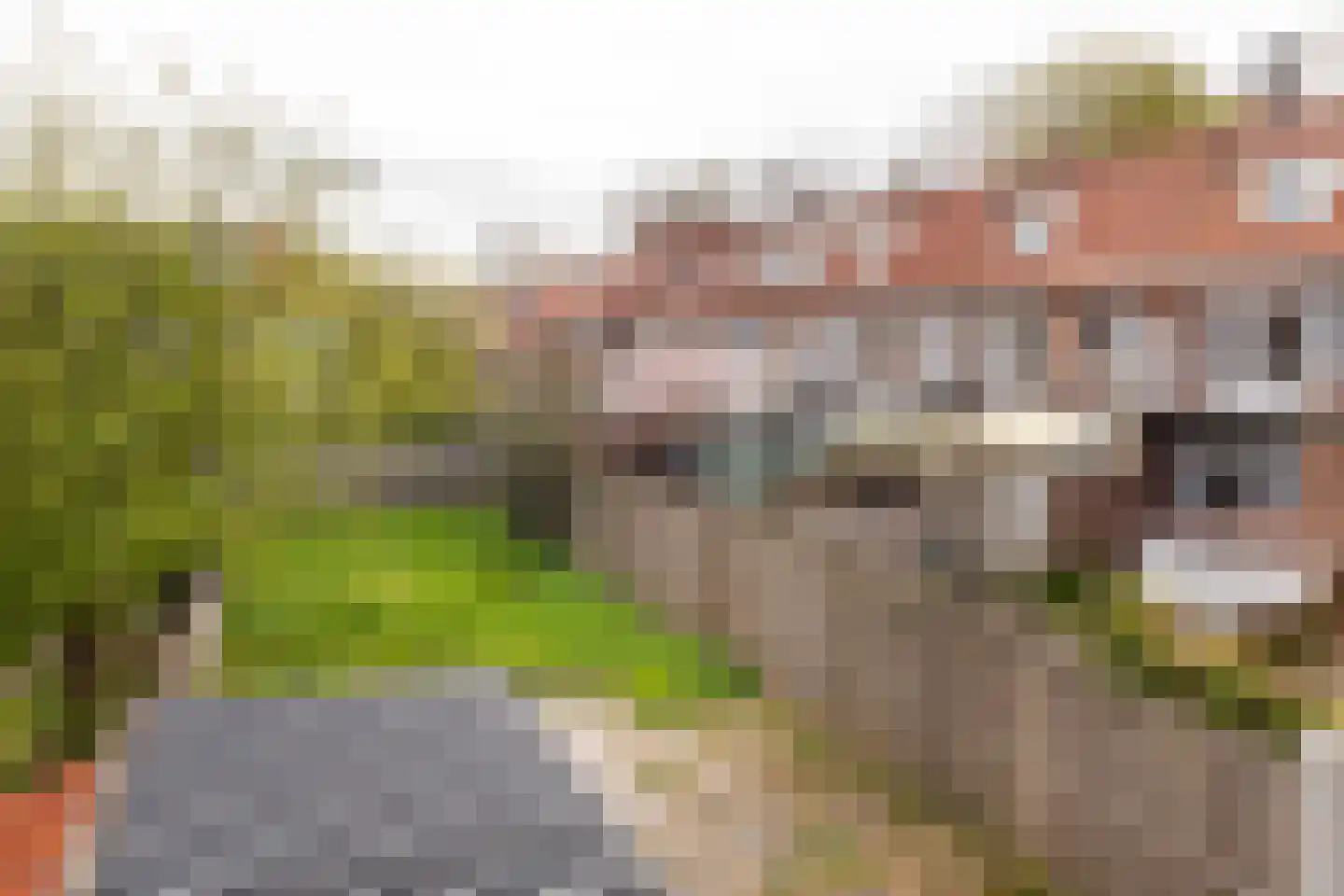 Lorentzkade 22 Haarlem thumbnail 23