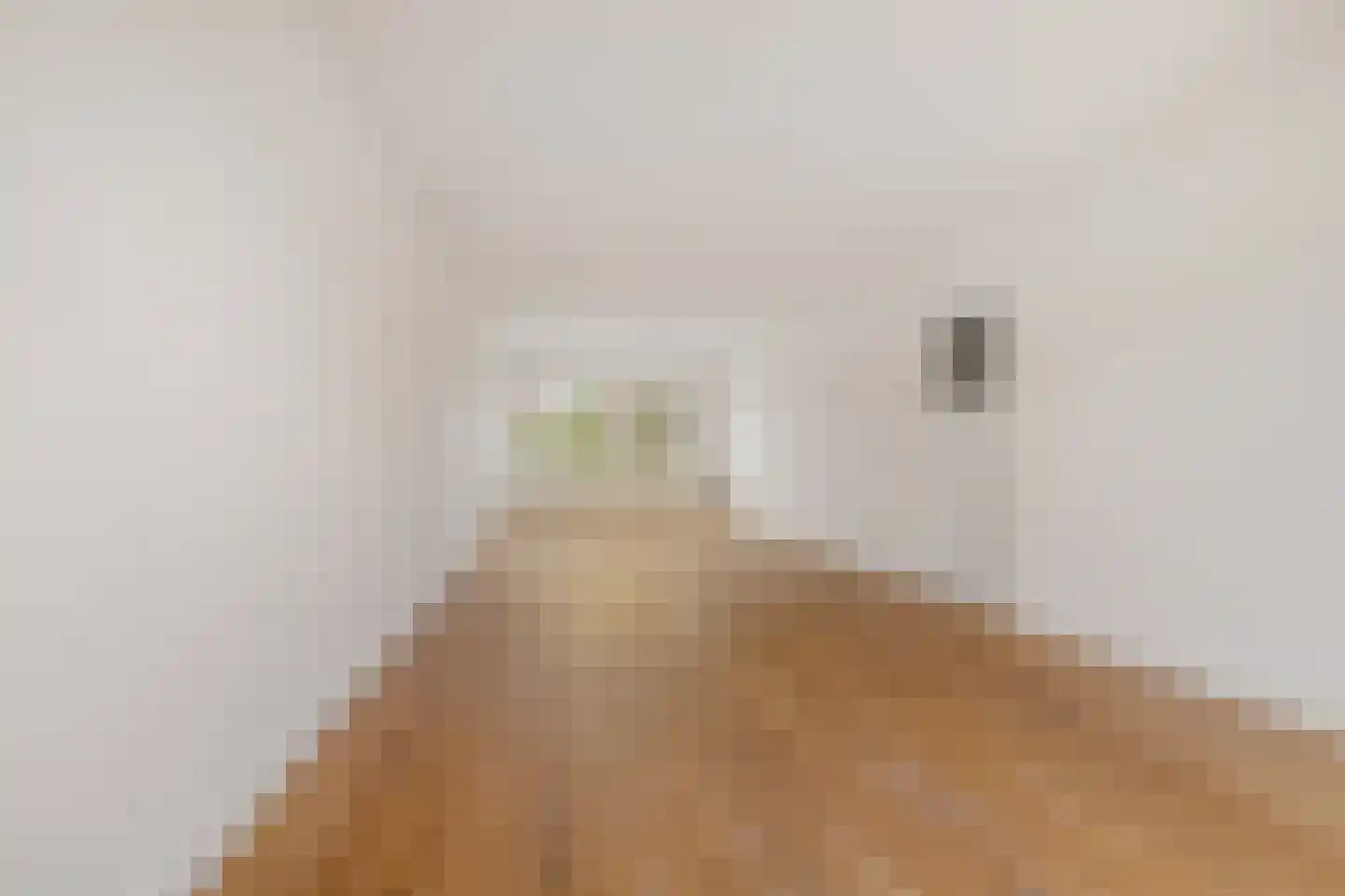 Lorentzkade 22 Haarlem thumbnail 4