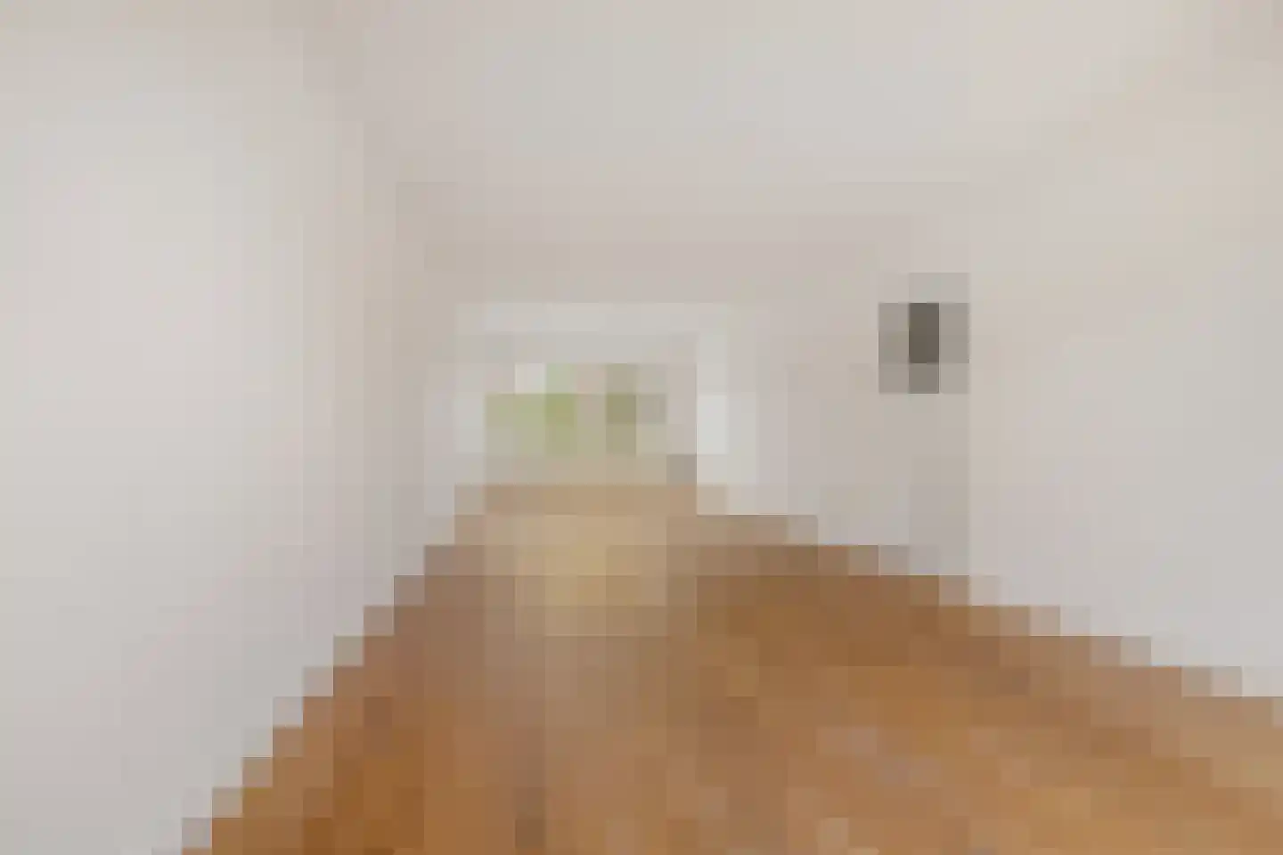 Lorentzkade 22 Haarlem thumbnail 4