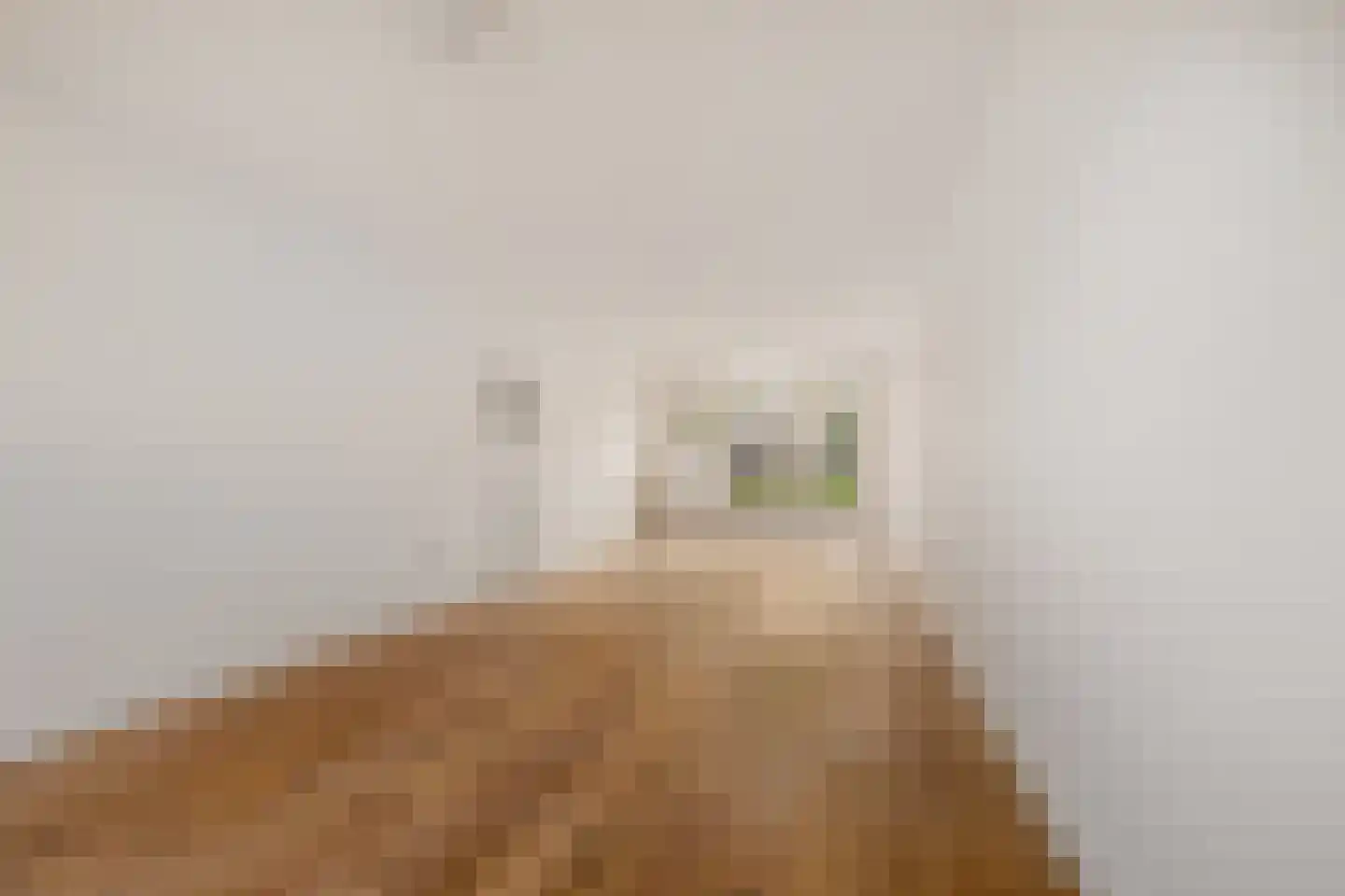 Lorentzkade 22 Haarlem thumbnail 6