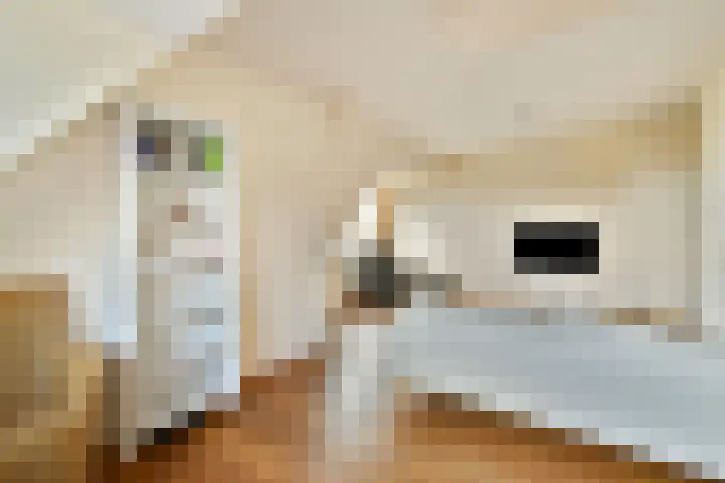 Lorentzkade 24 Leiden thumbnail 24