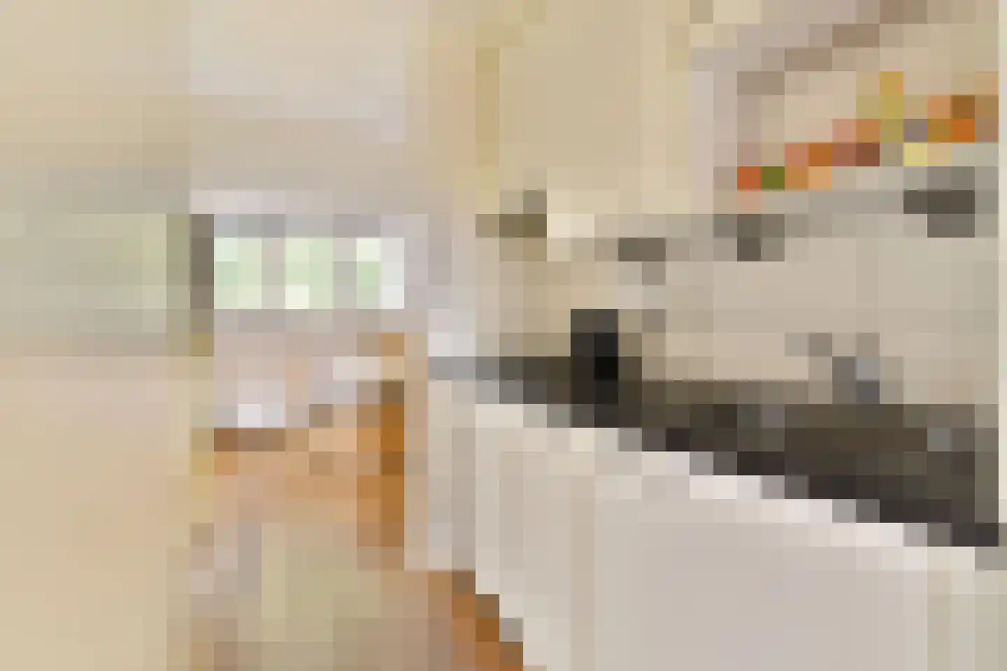 Lorentzkade 24 Leiden thumbnail 26