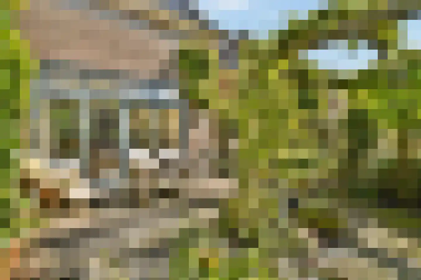 Lorentzkade 24 Leiden thumbnail 30