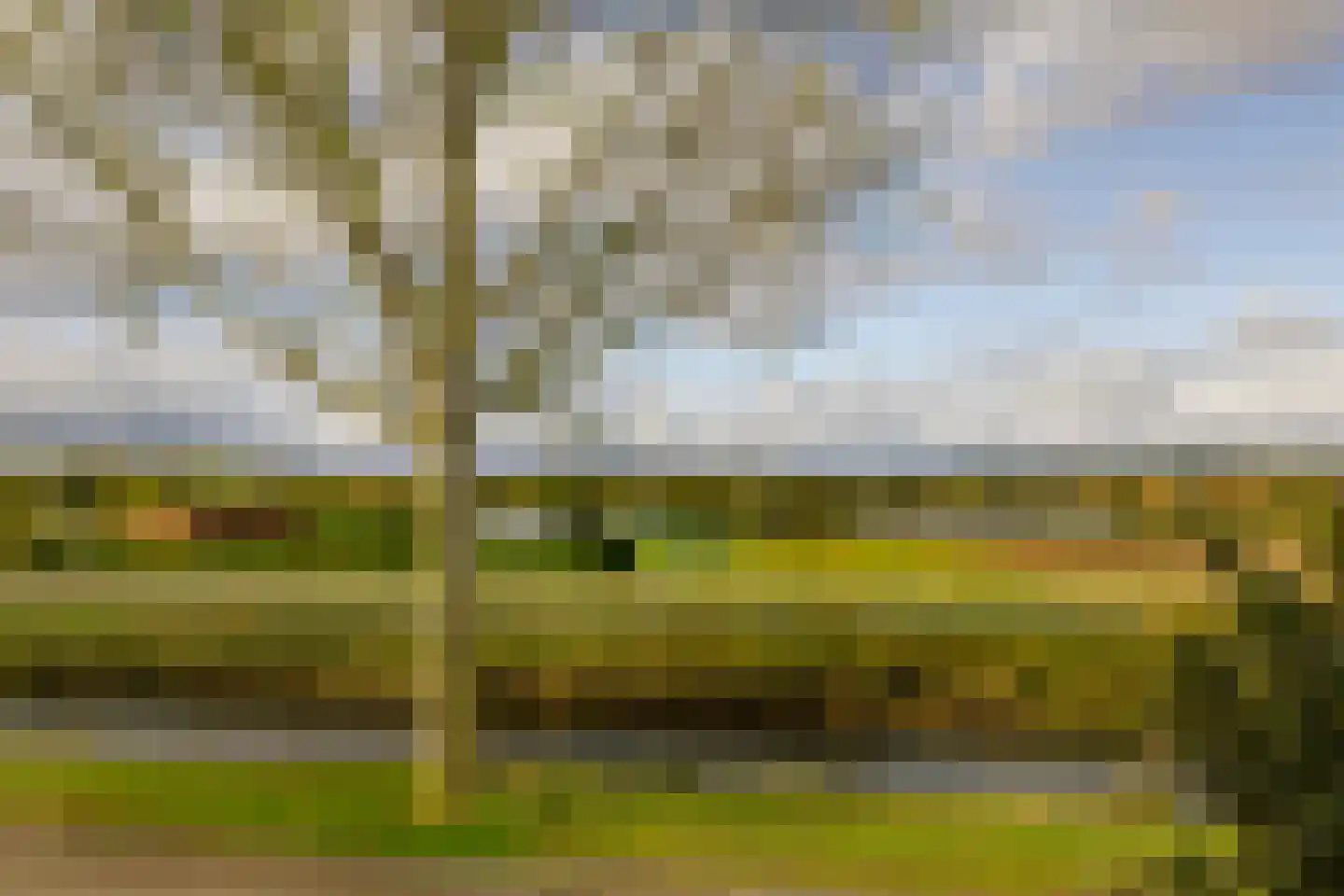 Lorentzkade 342 Haarlem thumbnail 18