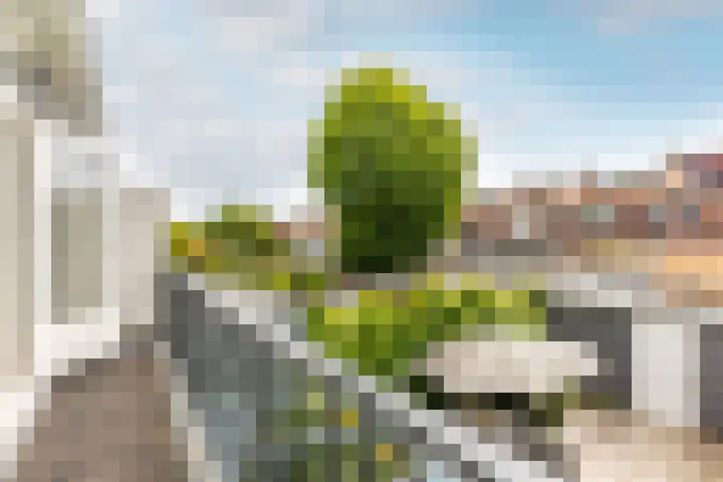 Lorentzkade 342 Haarlem thumbnail 23