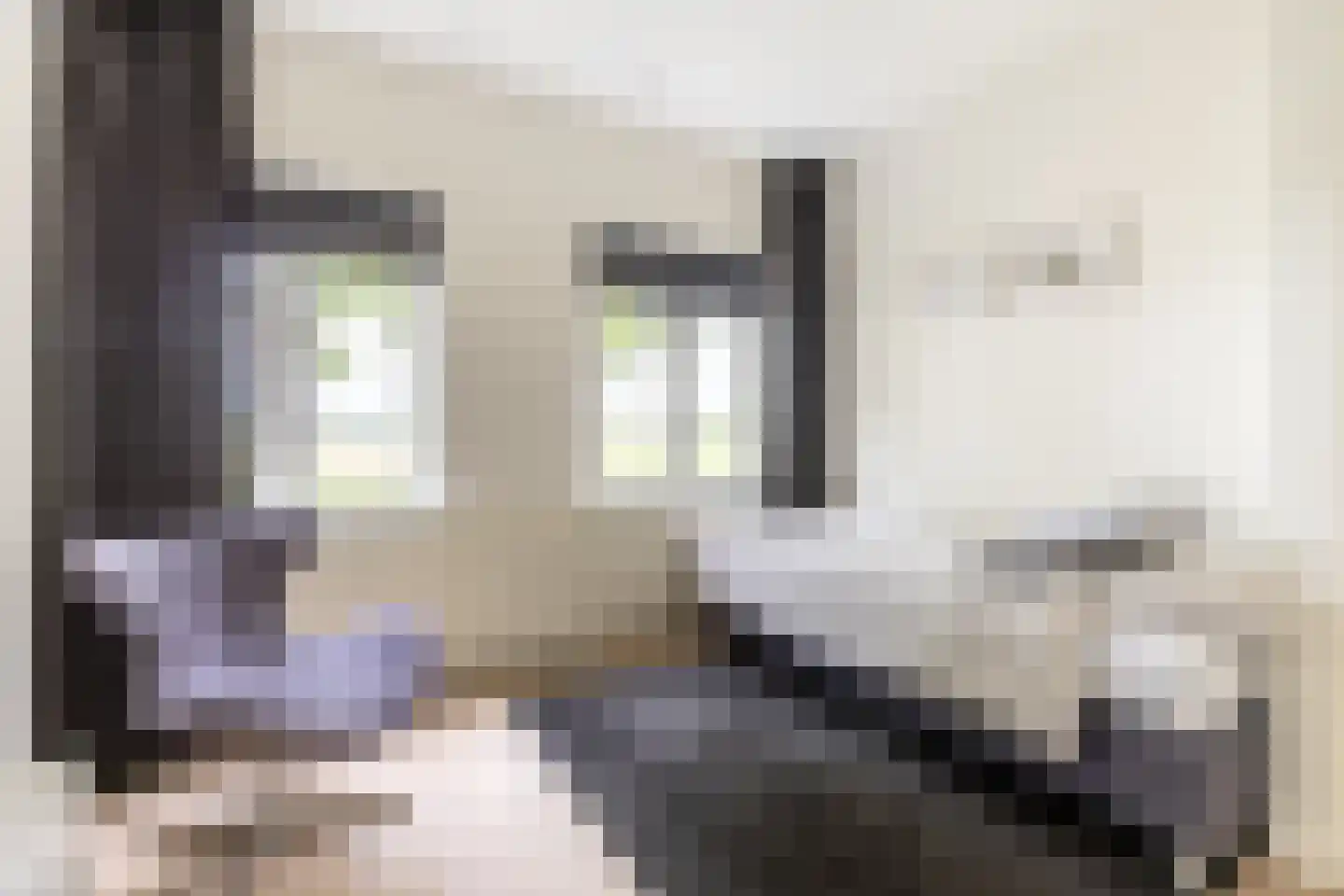 Lorentzkade 342 Haarlem thumbnail 25