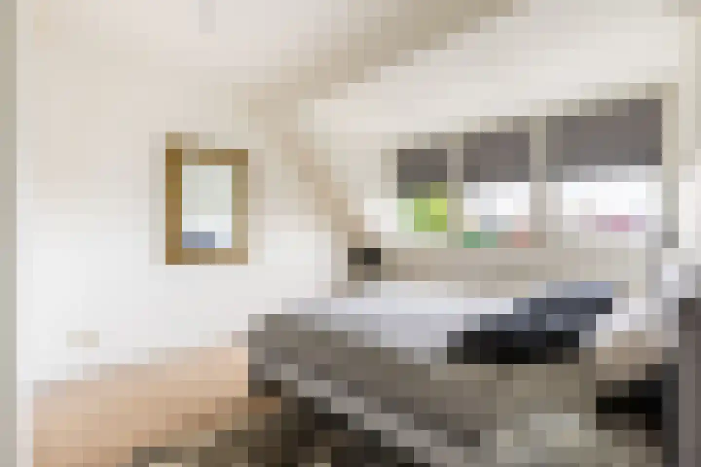 Lorentzkade 342 Haarlem thumbnail 29