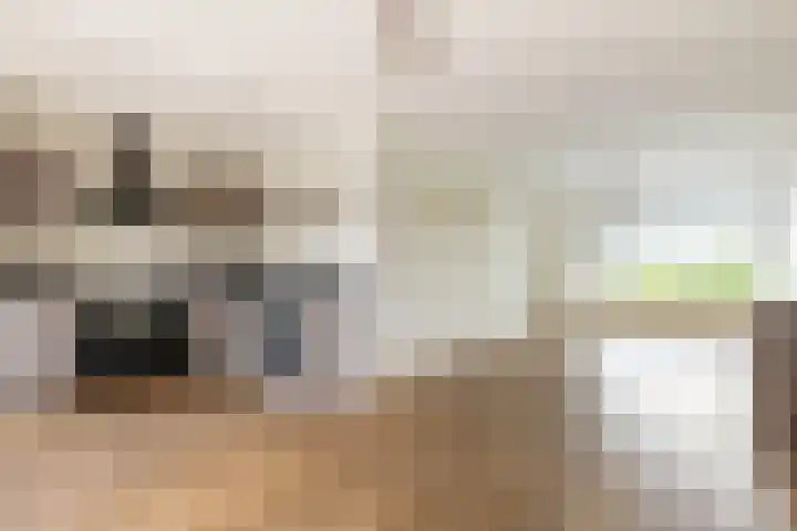 Lorentzkade 346 Haarlem thumbnail 12