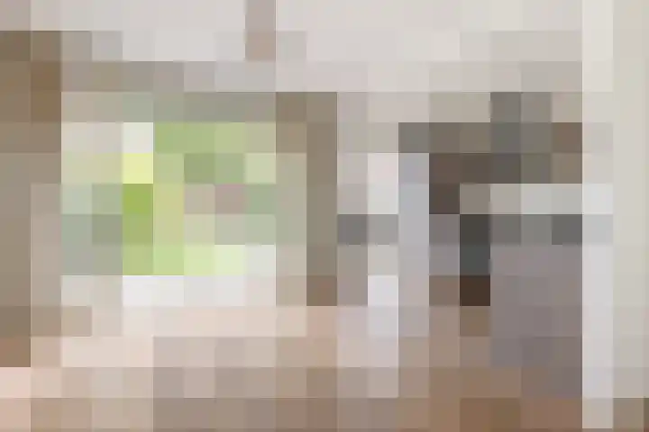 Lorentzkade 346 Haarlem thumbnail 13