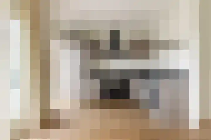 Lorentzkade 346 Haarlem thumbnail 14