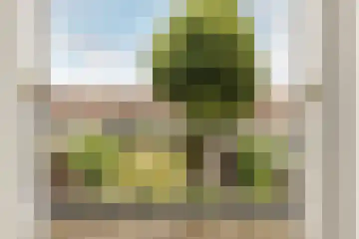 Lorentzkade 346 Haarlem thumbnail 19