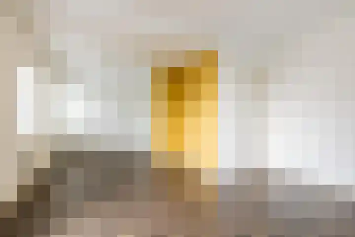 Lorentzkade 346 Haarlem thumbnail 20